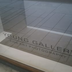 Young Gallery
