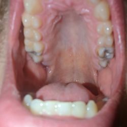 Dr. Dental - Waterbury - Self
