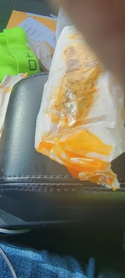 Zesto - Forest Park by null