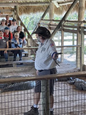 Gator Park by null
