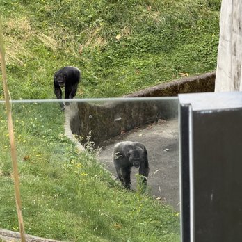 Oregon Zoo - Zoos Near Me - Portland, Oregon Oregon Zoo - Zoos Near Me - Portland, Oregon