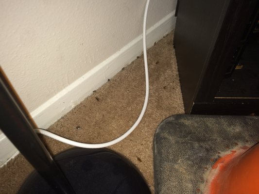 London Belle Apartments