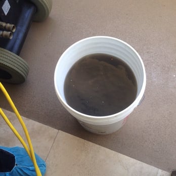 Magic Carpet Steam Cleaning - This is the bucket after cleaning one stairway of only 12 steps by Magic Carpet Steam Cleaners!! Glad it's gone now! - Carpet Cleaning Near Me - Honolulu, Hawaii Magic Carpet Steam Cleaning - This is the bucket after cleaning one stairway of only 12 steps by Magic Carpet Steam Cleaners!! Glad it's gone now! - Carpet Cleaning Near Me - Honolulu, Hawaii