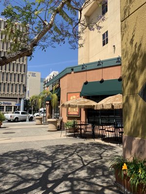 Kona Coffee Co. by null