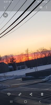 McDonald Tree Service