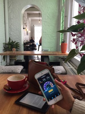 Willa Brunch by null