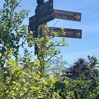 Cedar Rim Nursery - There were different areas for different types of trees - Nurseries & Gardening Near Me - Langley, British Columbia
