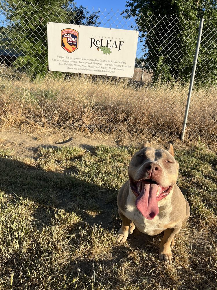 OFF THE LEASH DOG PARK Updated September 2024 25 Photos & 12