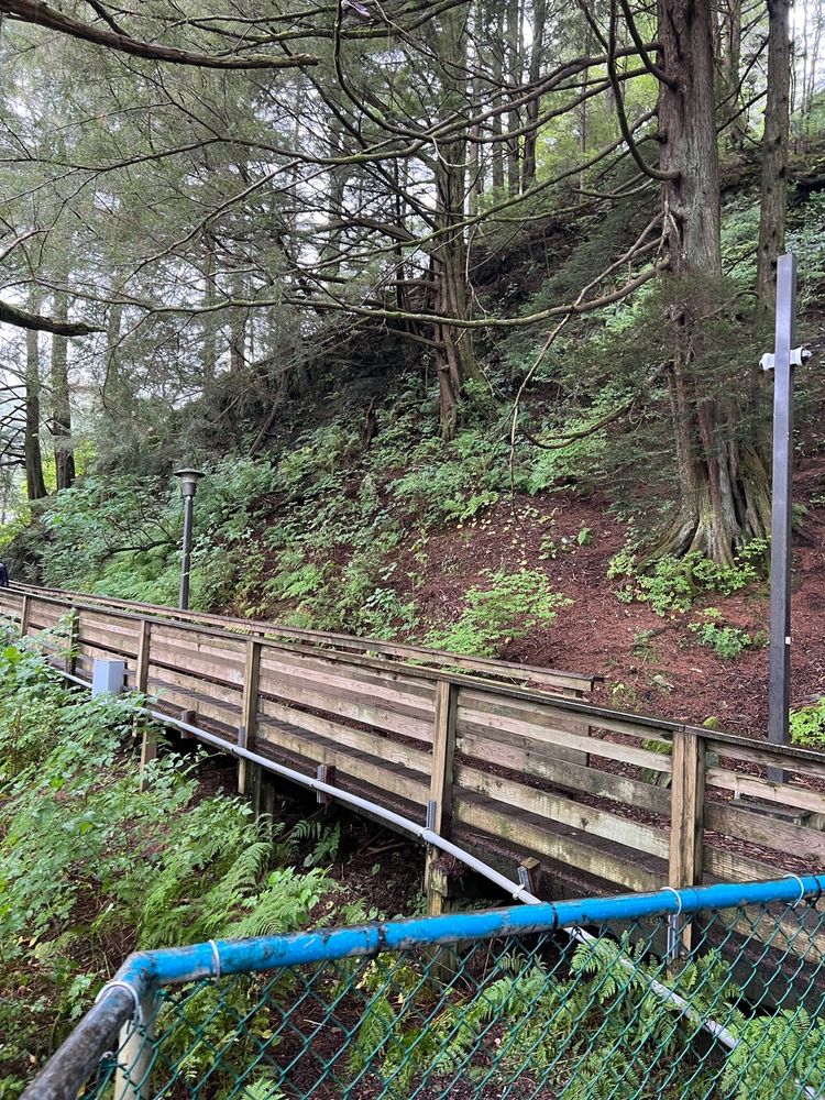 SALMON LADDER VISTA Updated July 2024 13 Photos 661 Park Ave