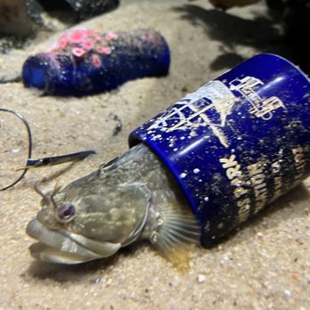 Monterey Bay Aquarium - Aquariums Near Me - Monterey, California