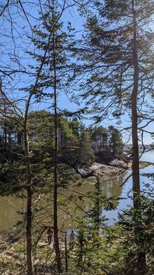 Wolfe's Neck Woods State Park by null