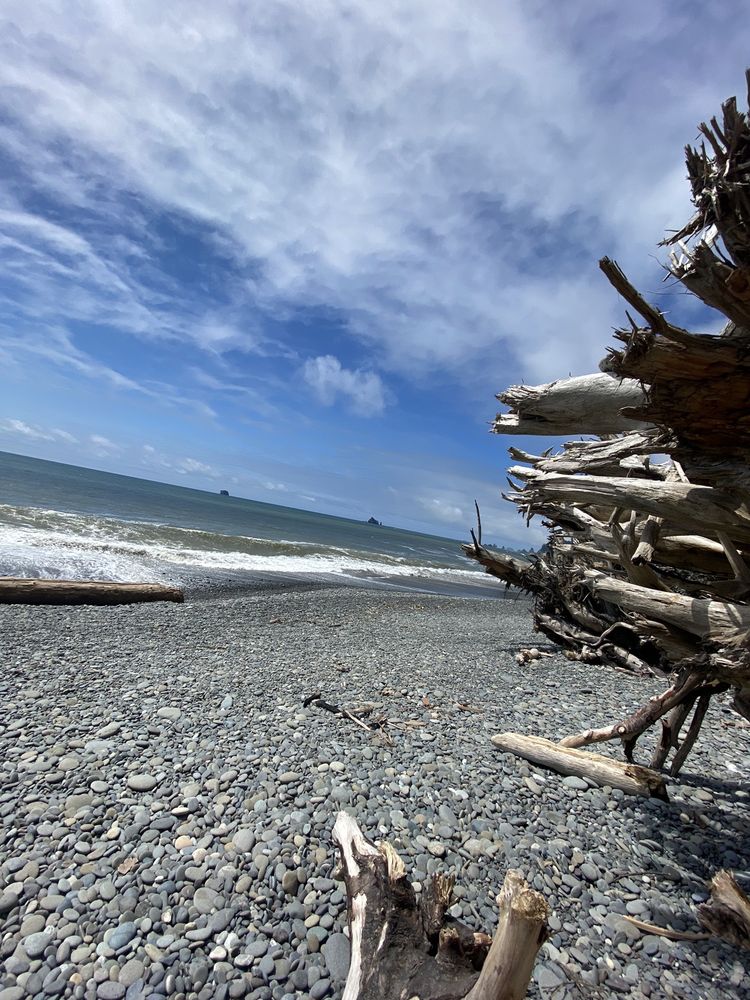 Olympic Hiking Co. Logo