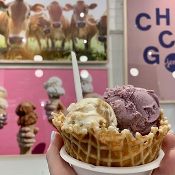 Jeni's Splendid Ice Creams - Ice Cream & Frozen Yogurt Near Me - Chicago, Illinois Jeni's Splendid Ice Creams - Ice Cream & Frozen Yogurt Near Me - Chicago, Illinois