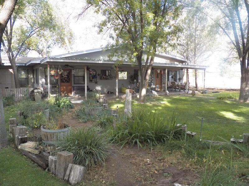 Black Forest - tree service in Albuquerque, NM