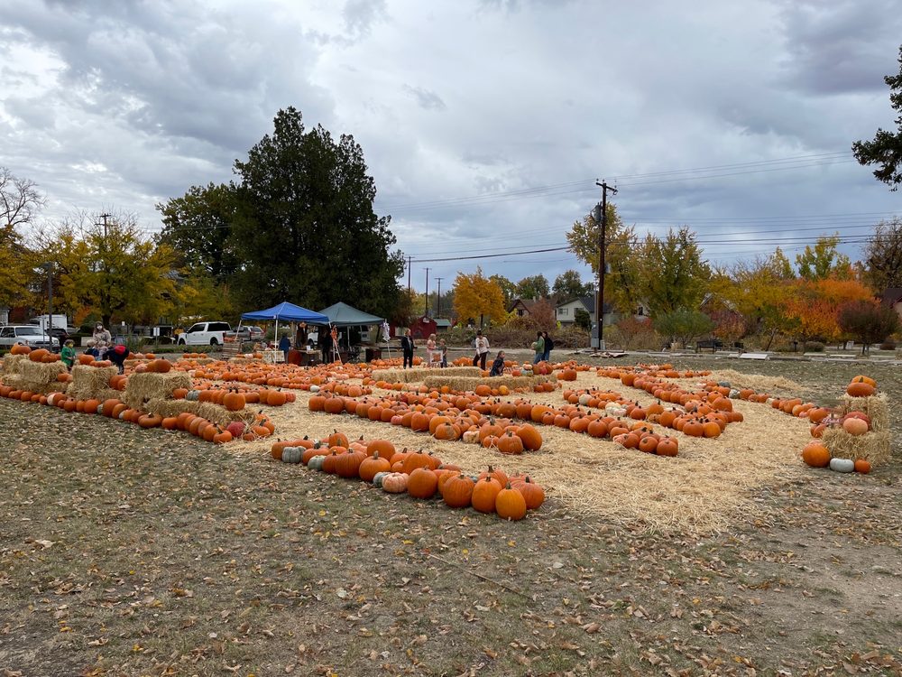 PUMPKIN PATCH, CATHEDRAL OF THE ROCKIES 1108 W Hays St, Boise, Idaho