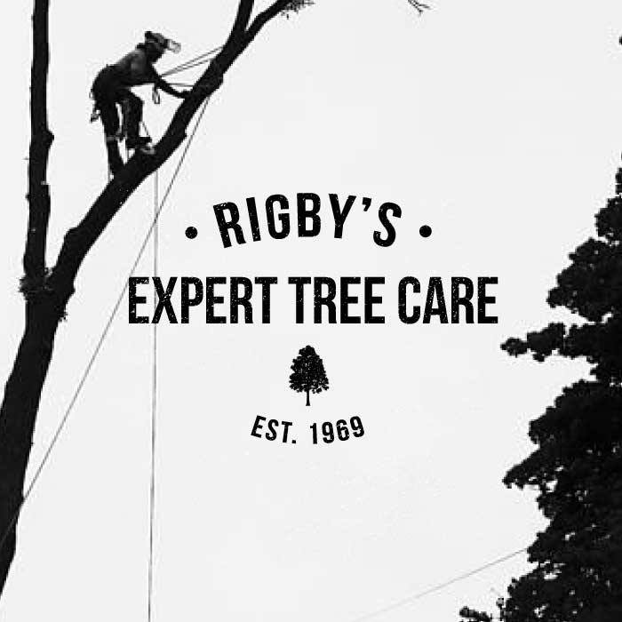RIGBYS EXPERT TREE CARE Updated August 2024 Roswell, Tree