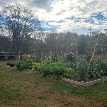 Julien's Farm Store - The garden - Breakfast & Brunch Near Me - Granby, Connecticut Julien's Farm Store - The garden - Breakfast & Brunch Near Me - Granby, Connecticut