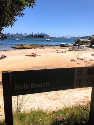 Milk Beach by null