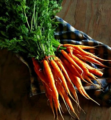 Eckerton Hill Farm by null