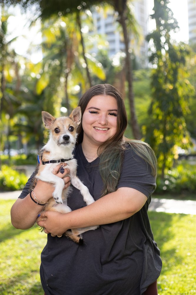 Equipaws Pet Services Image