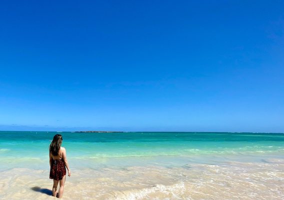 Kailua Beach Park by null