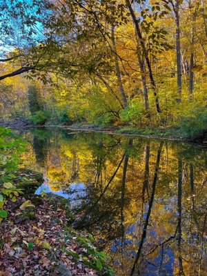 John Bryan State Park by null
