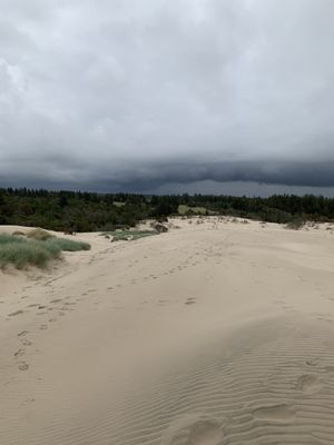 Råbjerg Mile by null