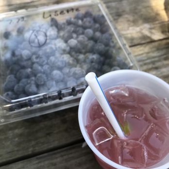 Lake Catherine Blueberries - Fruits & Veggies Near Me - Groveland, Florida