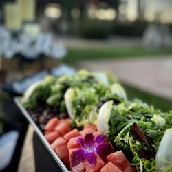 Fat Freddy's Catering