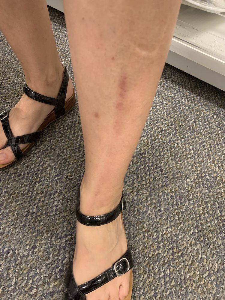 KOHL’S Updated September 2024 189 Bosley Pkwy, Parkersburg, West