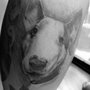 Photo of 4154 Tattoo Shop