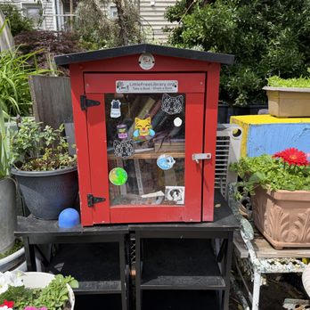 The Cat Park - Free little library location on-site - Parks Near Me - Philadelphia, Pennsylvania The Cat Park - Free little library location on-site - Parks Near Me - Philadelphia, Pennsylvania