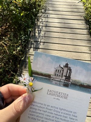 Saugerties Lighthouse by null