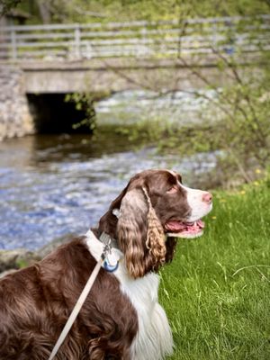 Saratoga Spa State Park by null