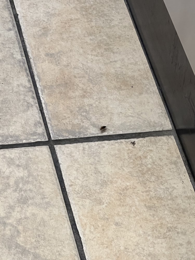 LUCKY DAY LAUNDRY 24 Photos & 18 Reviews 3539 W Noble Ave, Visalia