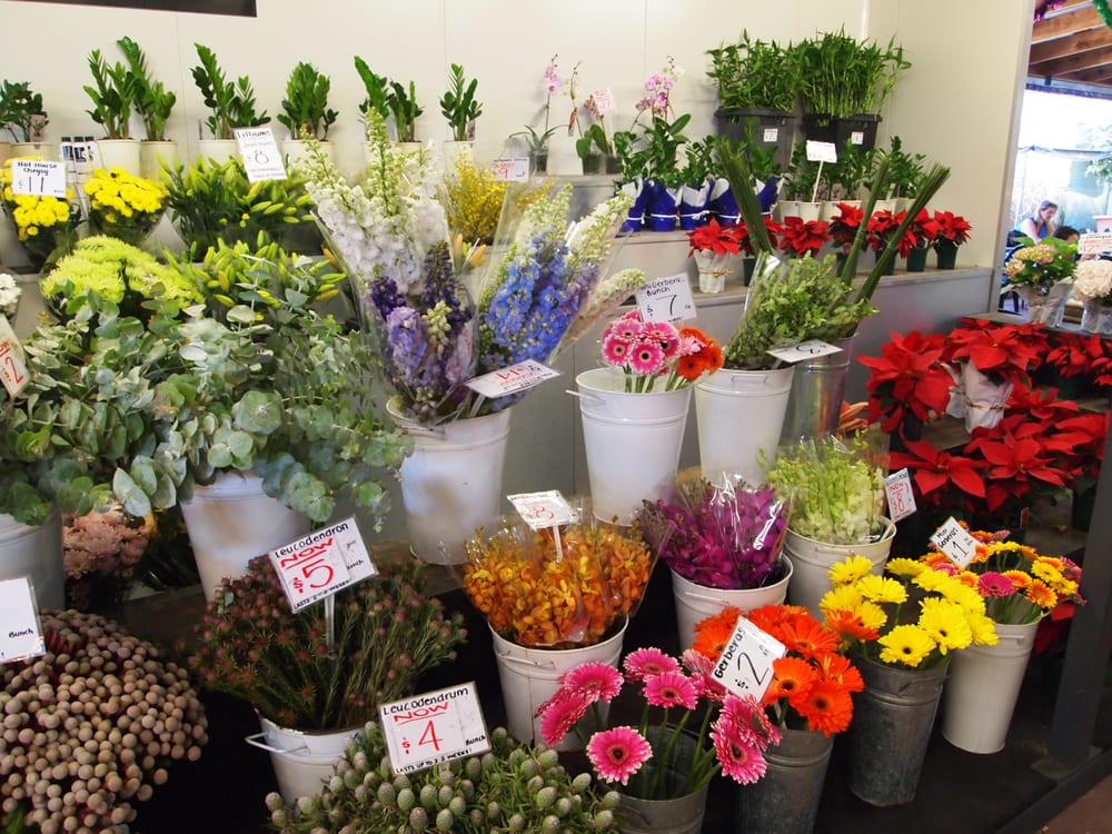 THE FLOWER MARKET Updated September 2024 44 Station Street, Subiaco