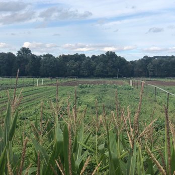 Farms View Roadstand - Filed - Farmers Market Near Me - Wayne, New Jersey