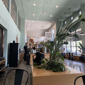 The Boy & The Bear - Coffee & Tea Near Me - Los Angeles, California The Boy & The Bear - Coffee & Tea Near Me - Los Angeles, California