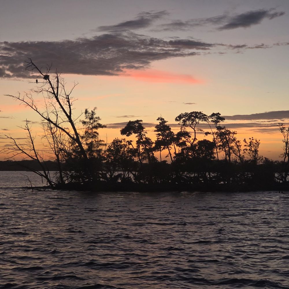 Captain Hirams River King - Boat Tours Near Me - Sebastian, Florida