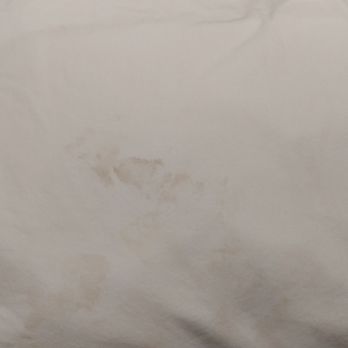 SpringHill Suites by Marriott Denver North/Westminster - Dirty pillow - Hotels Near Me - Westminster, Colorado SpringHill Suites by Marriott Denver North/Westminster - Dirty pillow - Hotels Near Me - Westminster, Colorado