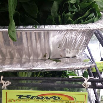 Flamingo Bravo Supermarkets - Grocery Near Me - Pembroke Pines, Florida Flamingo Bravo Supermarkets - Grocery Near Me - Pembroke Pines, Florida