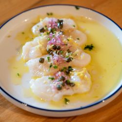 Scallop Crudo