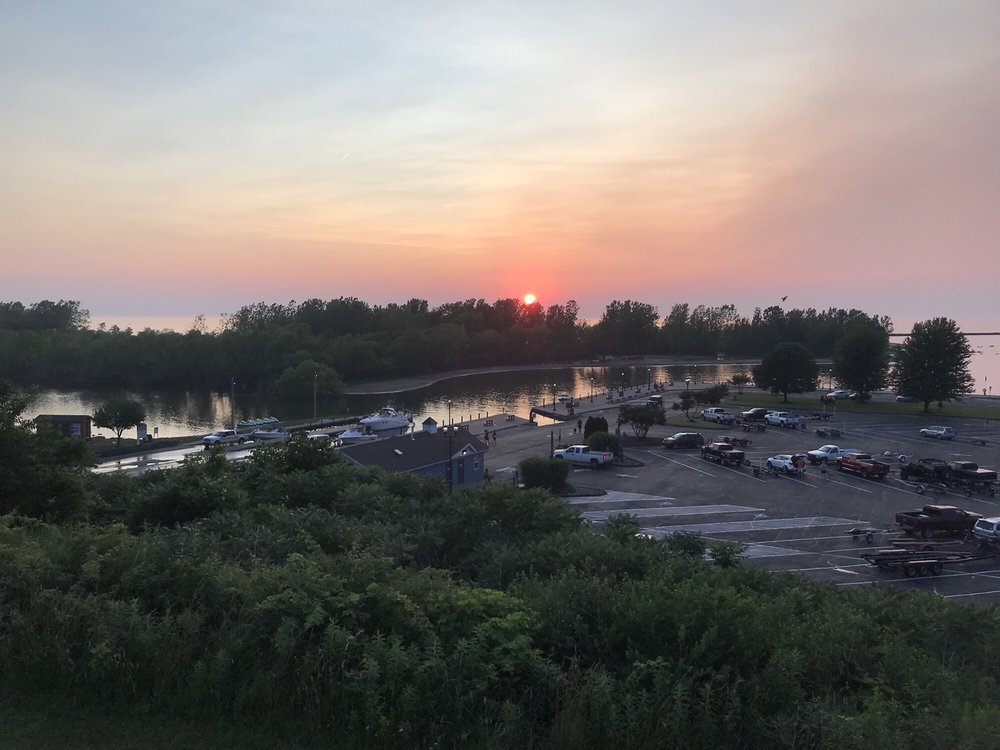 Moose Lodge Loyal Order of Logo