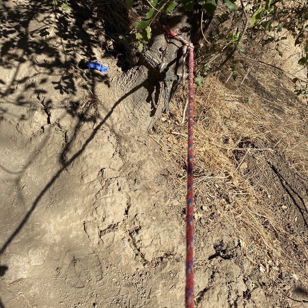 Calabasas Hidden Stairs - Rope to help you climb up the hill! I definitely needed it lol - Hiking Near Me Calabasas Hidden Stairs - Rope to help you climb up the hill! I definitely needed it lol - Hiking Near Me