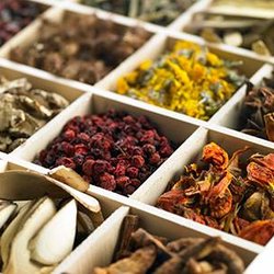 True Health Acupuncture - Chinese Herbology