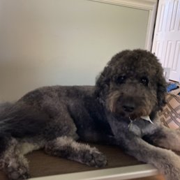 After his spa day! After his spa day!