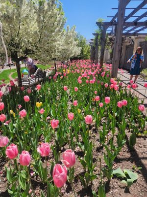 Paine Art Center & Gardens by null