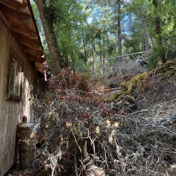 Firebreak Defensible Space Services - Before doing defensible space around structure. - Fire Protection Services Near Me Firebreak Defensible Space Services - Before doing defensible space around structure. - Fire Protection Services Near Me