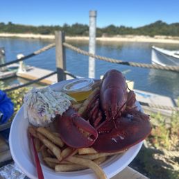Whole boiled lobster