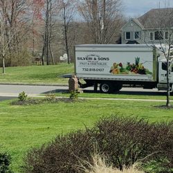M V Silveri & Sons - Got all my neighbors interested. Super service and fresh produce!!! Great quality!!!! Thanks again Silveri!!!!